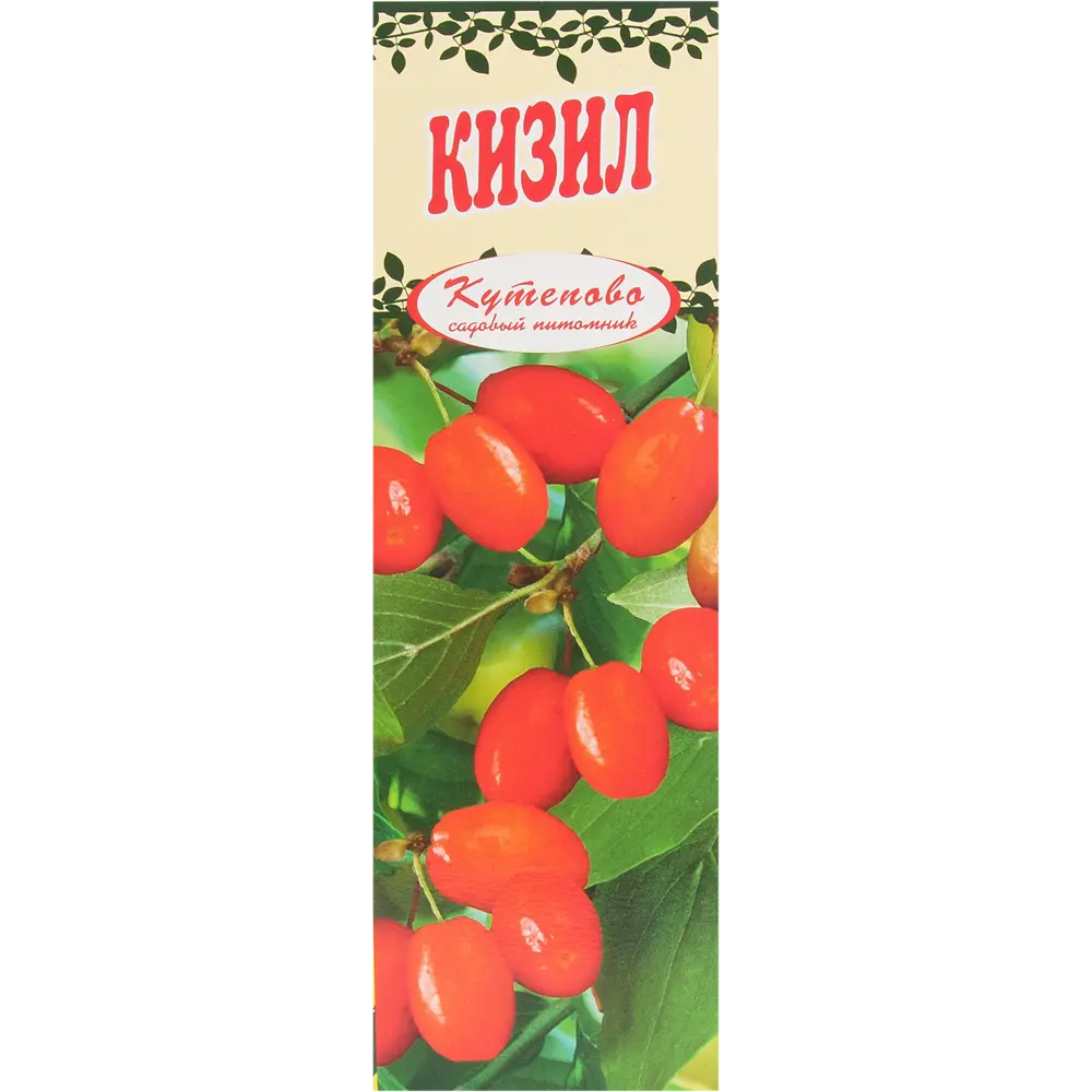 Кизил плодовый, в коробке 81955096 STLM-2106118 Santreyd 