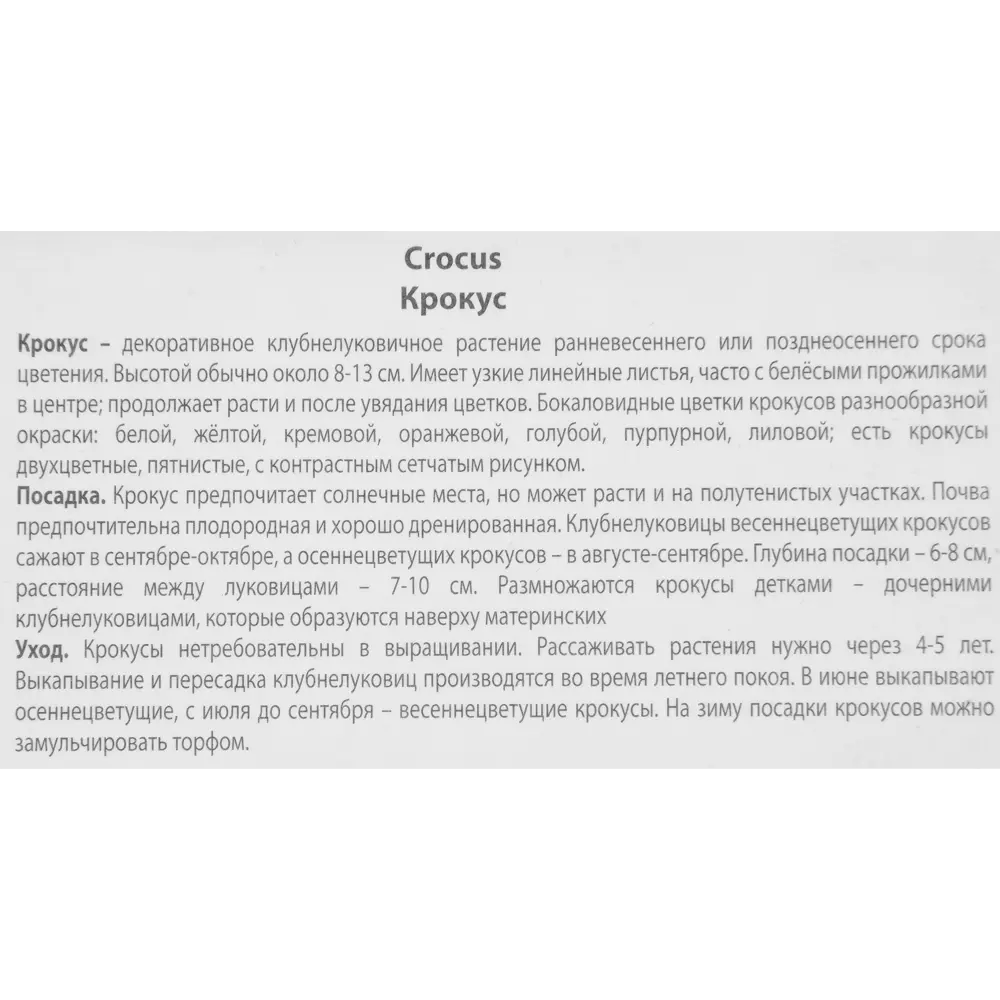 Крокус ботанический Ориндж монарх луковица 5/7, 10 шт. 88294622 STLM-2160652 Santreyd  - Вид №2