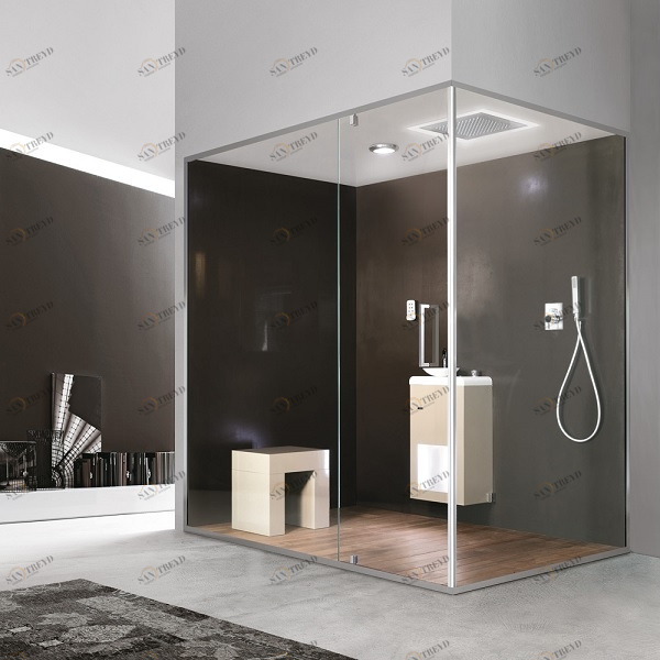 Ограждение для душа и турецкой бани Gemini 5 110х120 см 1GNN7S0 Gruppo Geromin