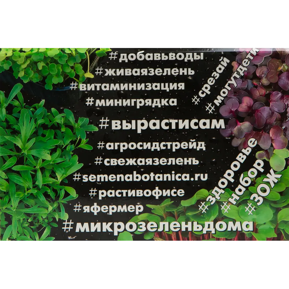 Семена Микрозелень «Коралловый редис» АГРОСИДСТРЕЙД STLM-2127265 - Вид №3