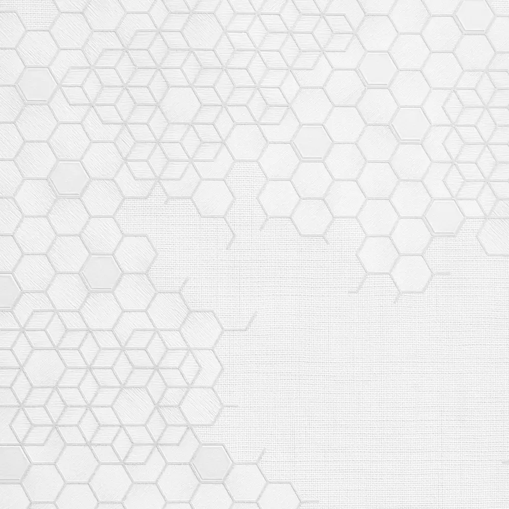 Обои флизелиновые Erismann Opus белые 1.06 м ЭР60365-01 STLM-2072250 - Вид №1