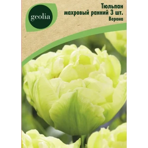 Тюльпан махровый ранний Верона 3 шт. 88663215 STLM-2137246