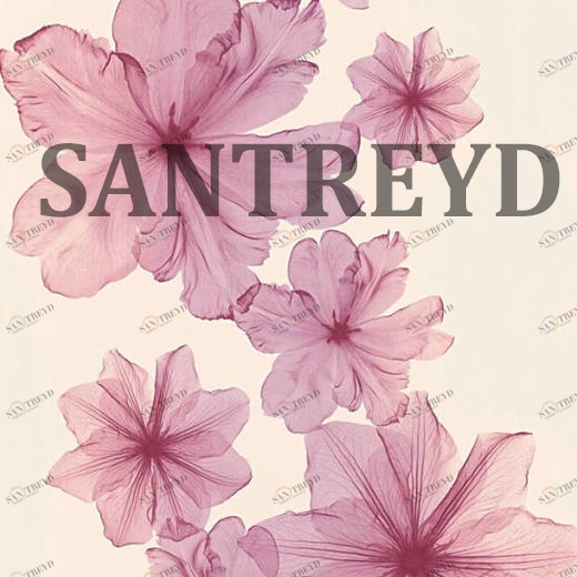 34272-3 Обои A.S. Creation X-Ray 342723