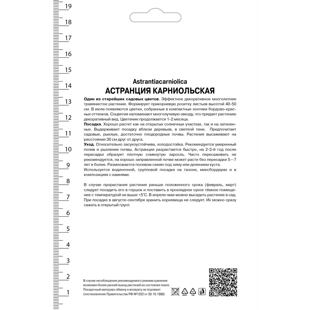 Астранция «Рубра», карниольская Santreyd STLM-2057629 - Вид №1