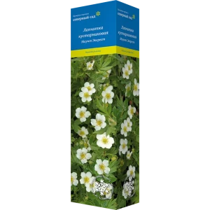 Лапчатка кустарниковая Маунт Эверест 82527336 STLM-2209951