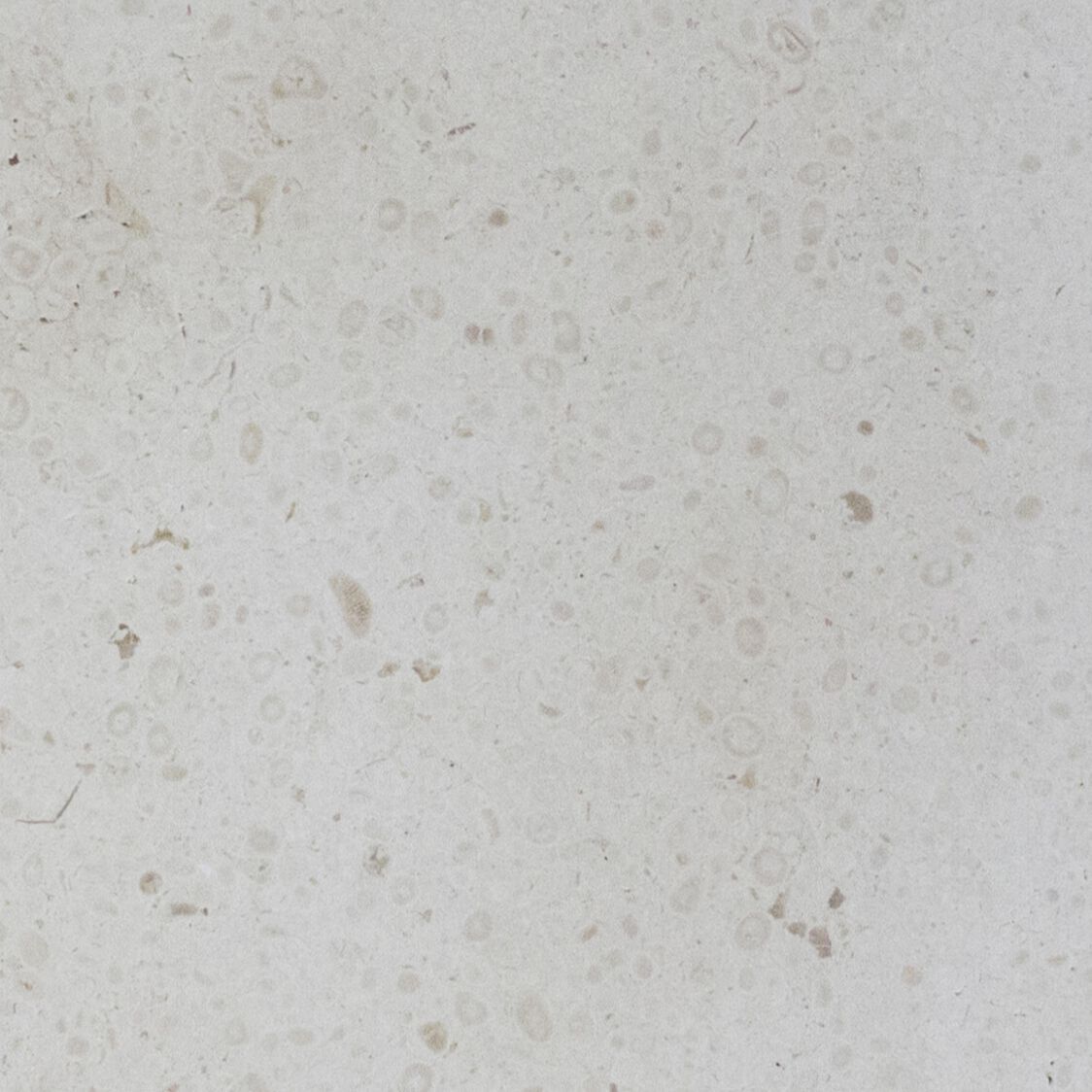 Овальная ванна из натурального камня COCOON Maison ARCH-00110900 - Вид №17