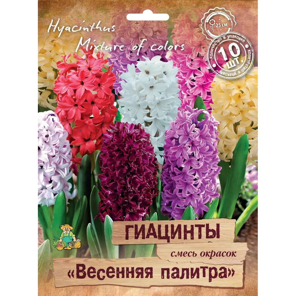 Гиацинты Весенняя палитра микс, 10 шт ПОИСК STLM-2121930