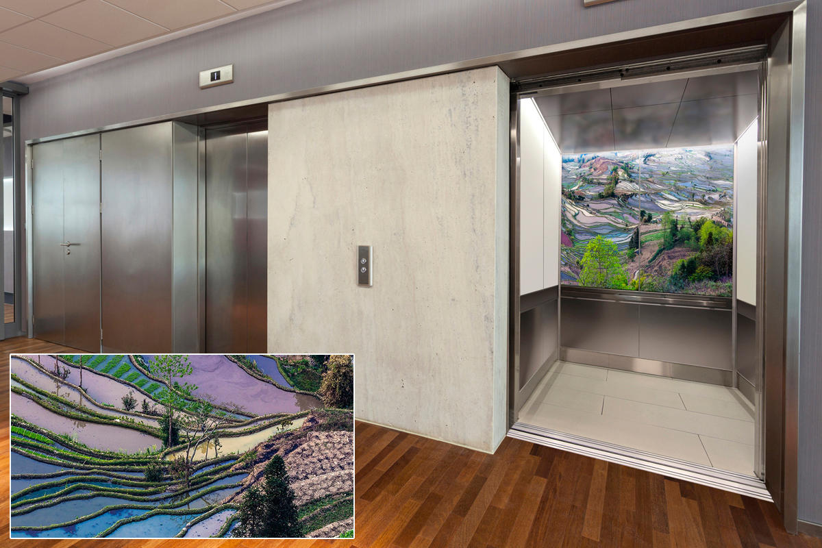 FSRT376 Зум-стекло Vivispectra с прослойкой в ​​оттенках серого гвоздики Forms-surfaces  - Вид №19