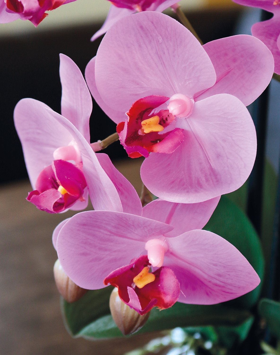 2772 420 a3 Пластиковая орхидея Phalaenopsis, 2-х кратная, горшечная, 45 см, real touch, вишня H-andreas  - Вид №3