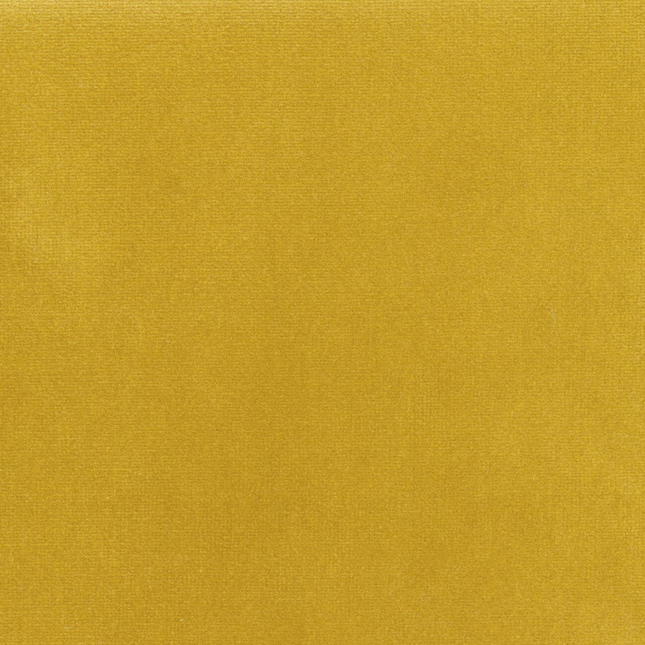 Бархатная однотонная ткань Élitis Palatine ARCH-00143253 - Вид №49