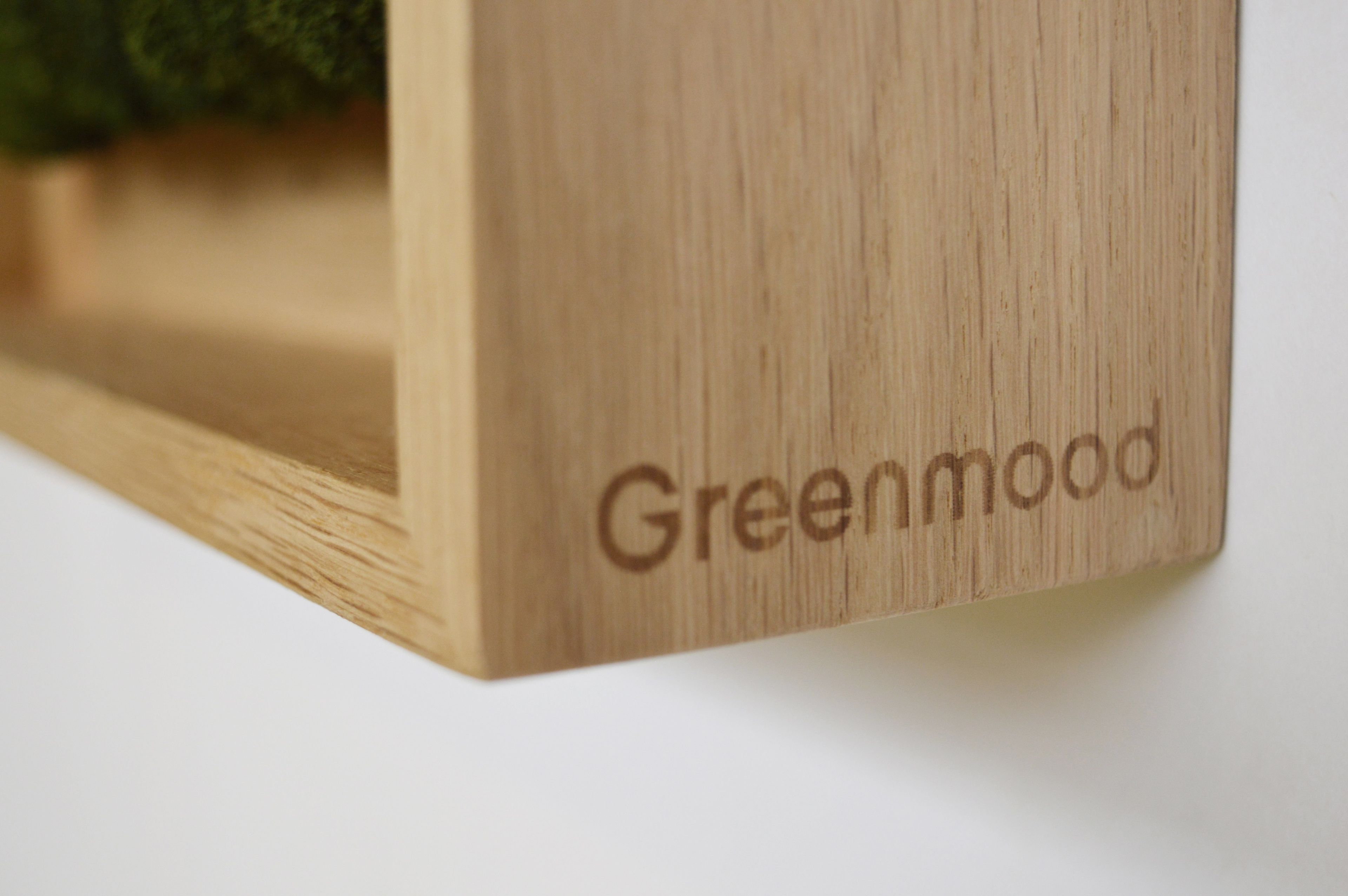 Акустическая панель из мха GREENMOOD FRAMED GEOMETRIC ARCH-00124960 - Вид №23