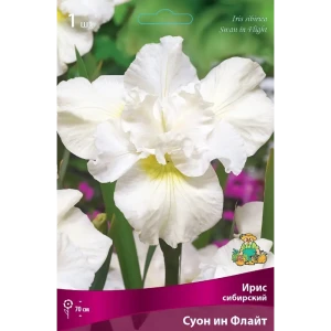 Ирис сибирский Суон Ин Флайт луковица I 83597279 STLM-2111939