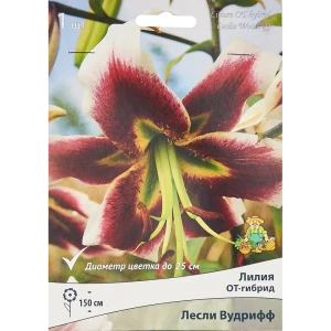 Лилия от-гибрид Лесли Вудрифф 85205726 STLM-2116220
