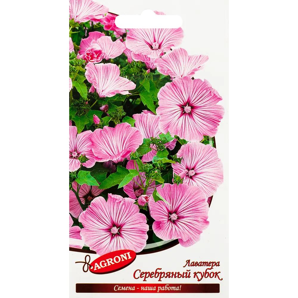 Семена цветов Лаватера Серебряный кубок золотая Agroni STLM-2125677