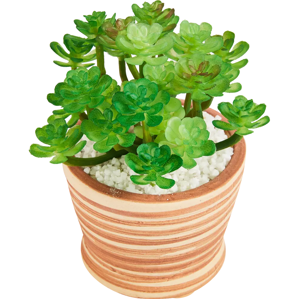 89005819 Искусственное растение Stripe 3 8x13 см полиэстер цвет разноцветный STLM-0817266 Santreyd 