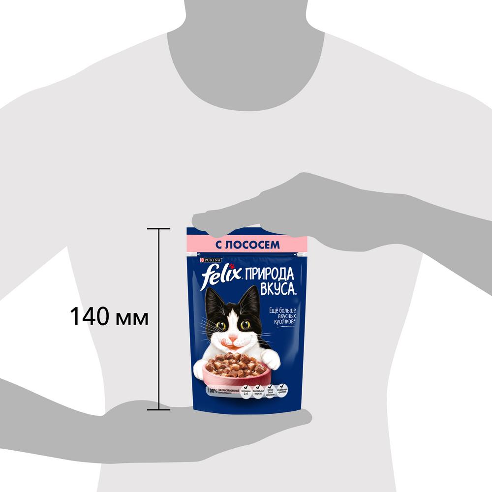 ПР0049075 Корм для кошек Природа вкуса с лососем в соусе, пауч 85 г FELIX  - Вид №9