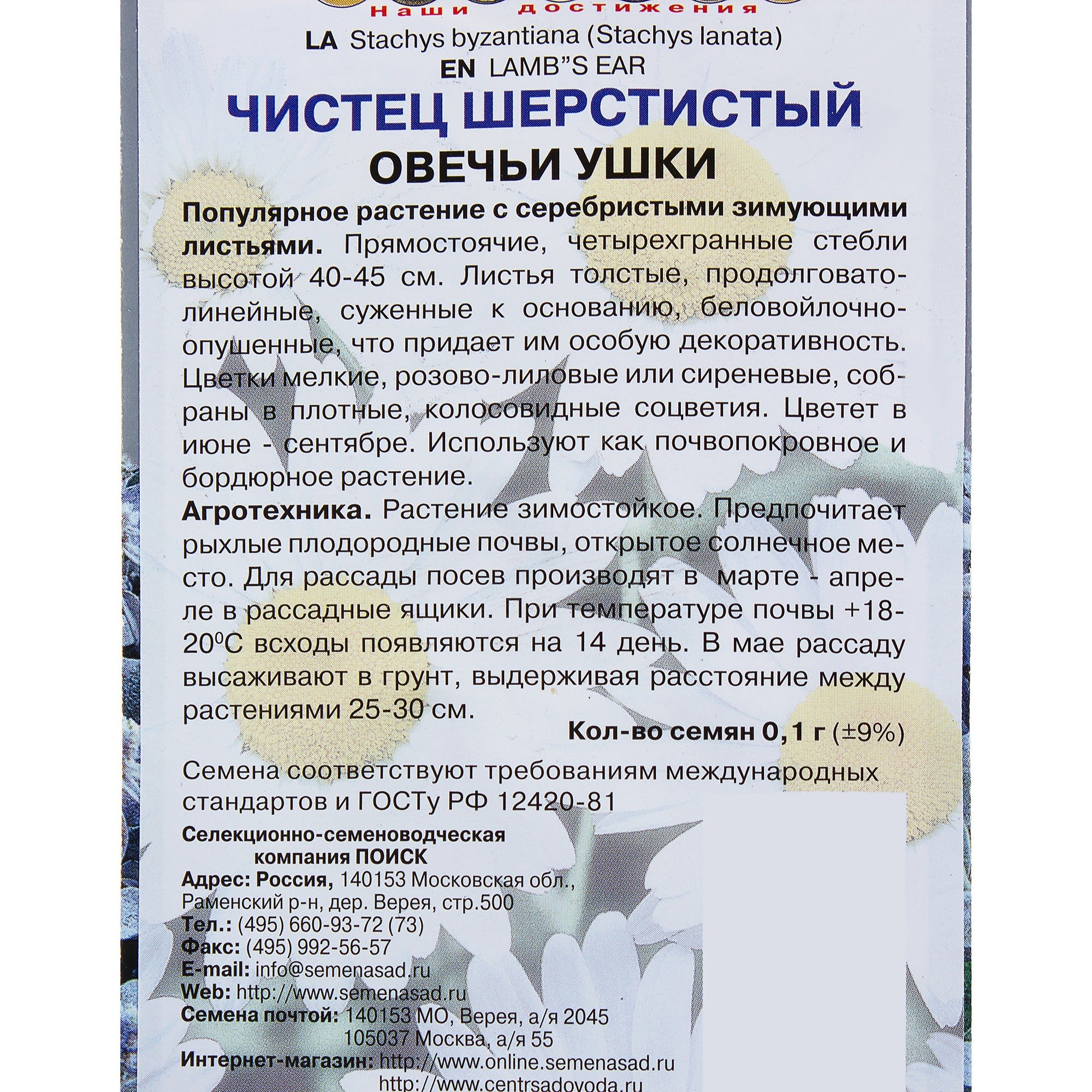 17229389 Чистец шерстистый «Овечьи ушки» Santreyd  - Вид №2