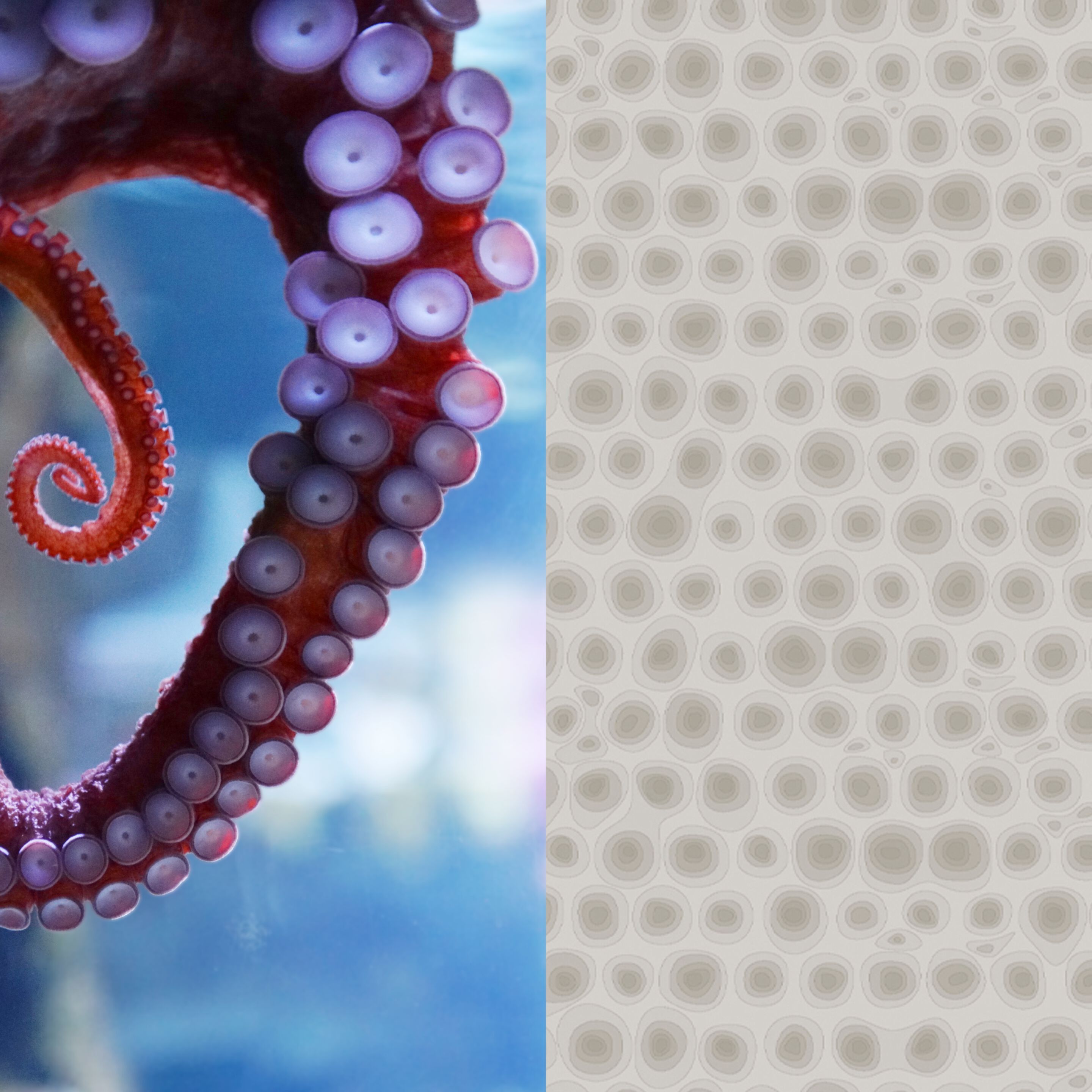 Декоративный ламинат Abet Laminati Design Edition ARCH-00107804 - Вид №14