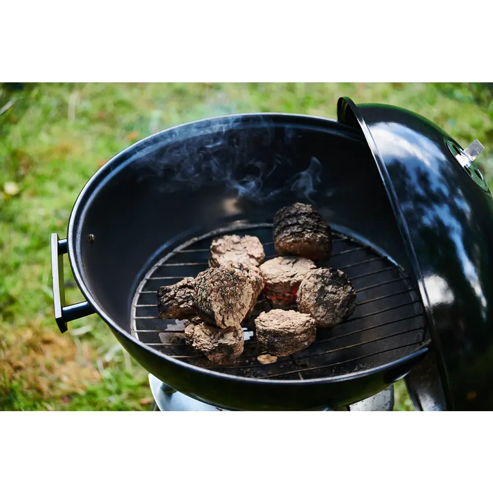 Топливные торфяные брикеты Goldwert,10 кг Santreyd STLM-2022252 - Вид №6