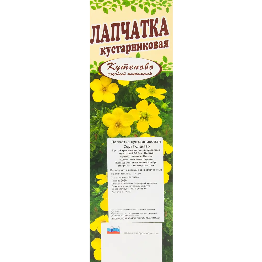 Лапчатка желтая в коробке 17496997 STLM-2098744 Santreyd  - Вид №2
