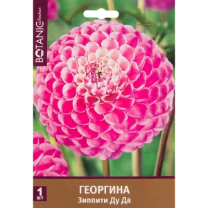 Георгина шаровидная «Зиппити Ду Да» 82539296 STLM-2081628