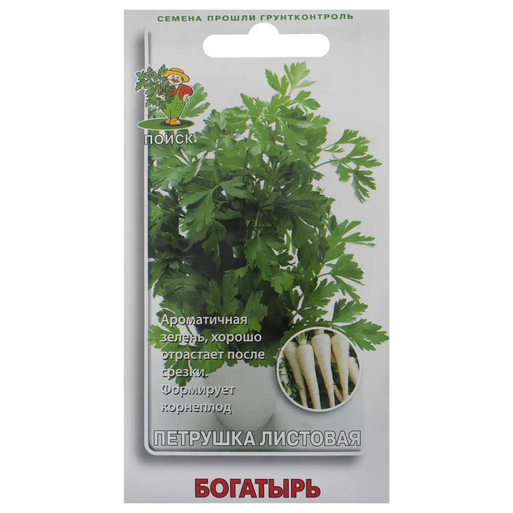 ПОИСК Петрушка Богатырь - ароматная зелень для вашего огорода 18356566 STLM-0010490