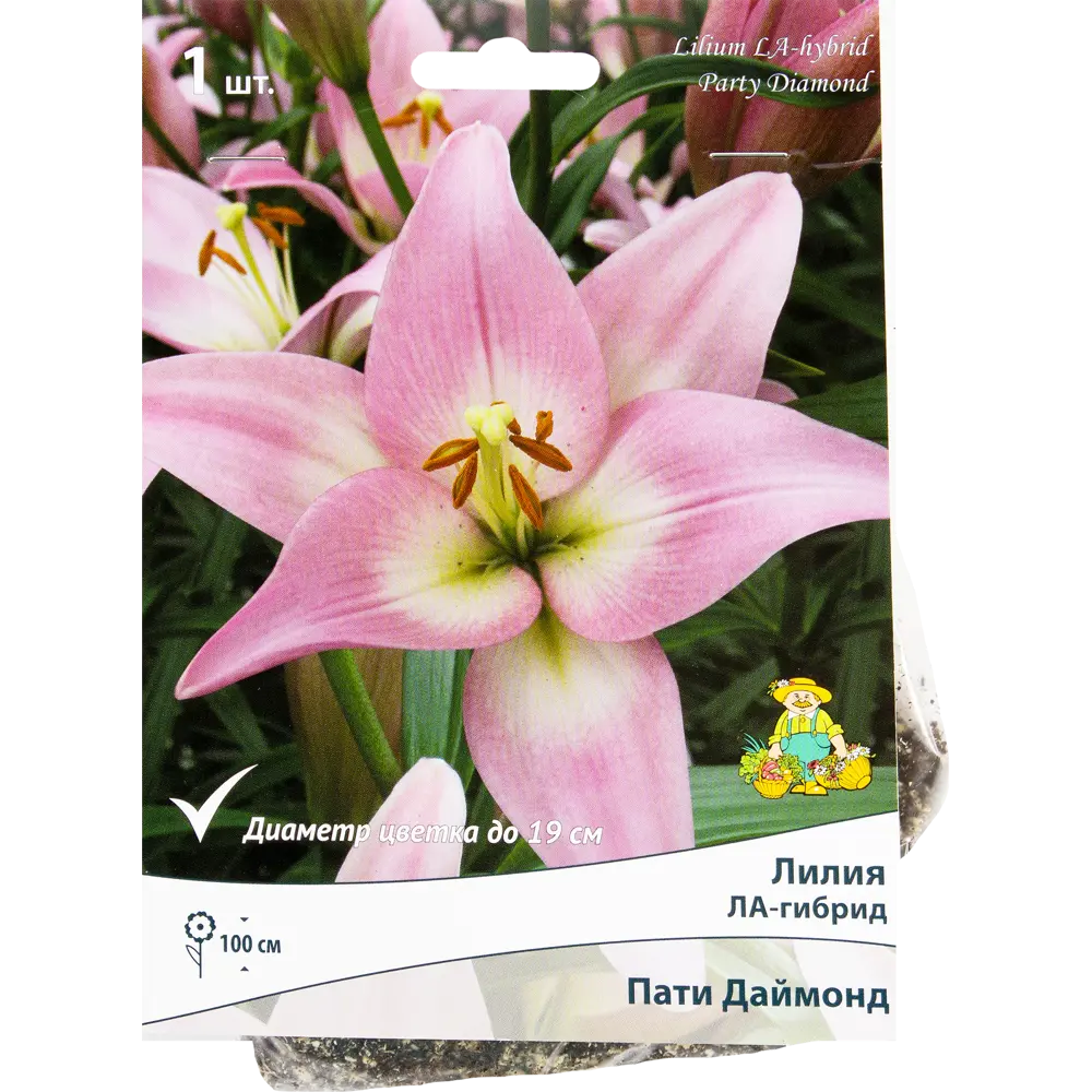 Лилия ЛА-гибрид «Пати Даймонд», размер луковицы 14/16 82319576 STLM-2163904 Santreyd 