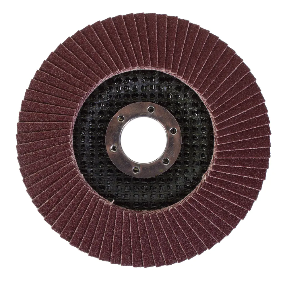 Круг лепестковый угловой Р80, 125х22 мм Santreyd STLM-2015257 - Вид №1