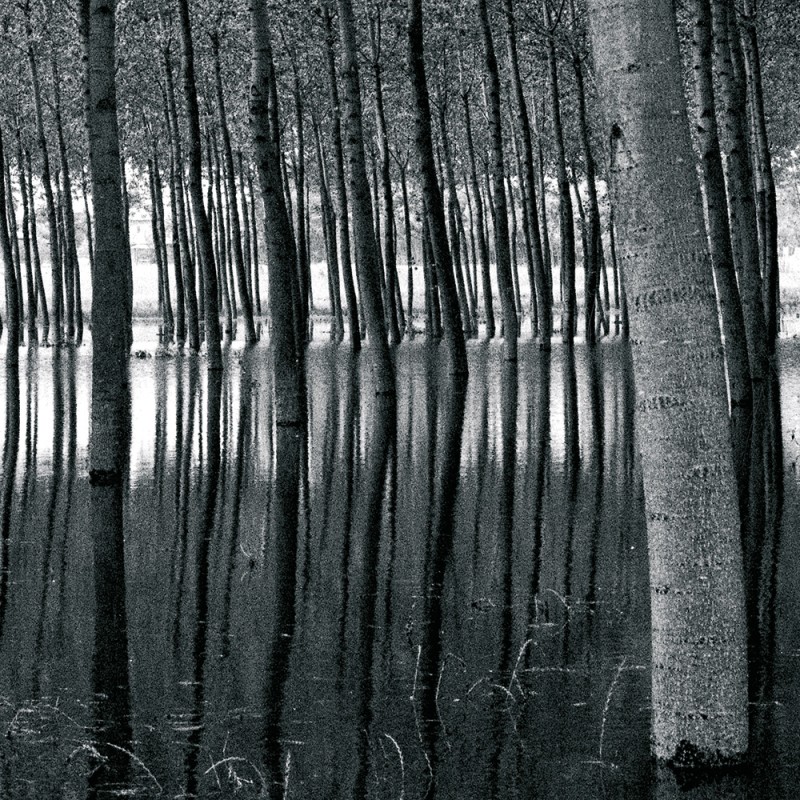 0270/CX38 Набор из 3 прозрачных коробок с перьями Adriani e Rossi Прозрачный и перья 