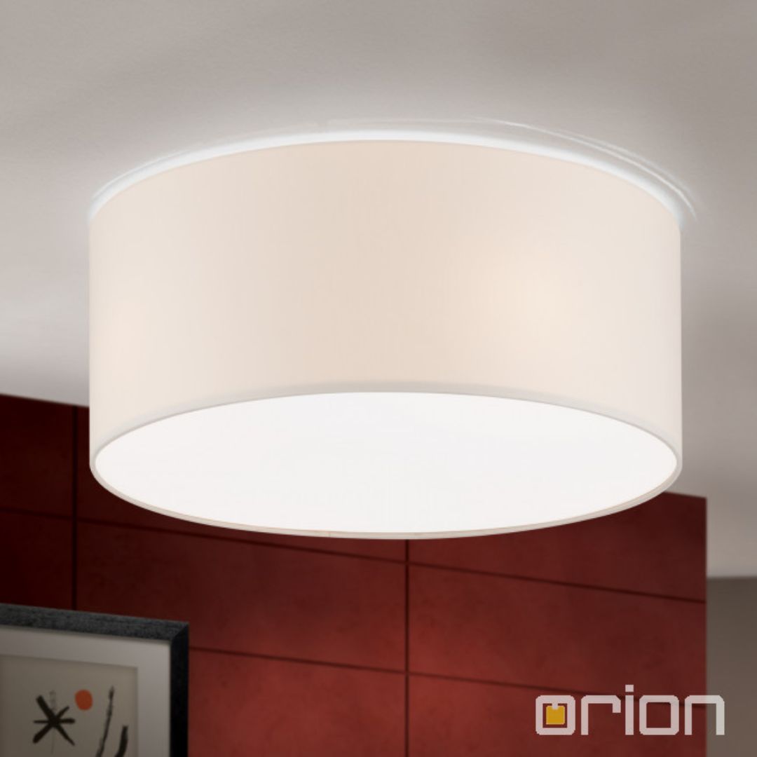 Orion DL 7-639/40 +schirm 7-639/40 Weiss потолочный светильник 119407 - Вид №1