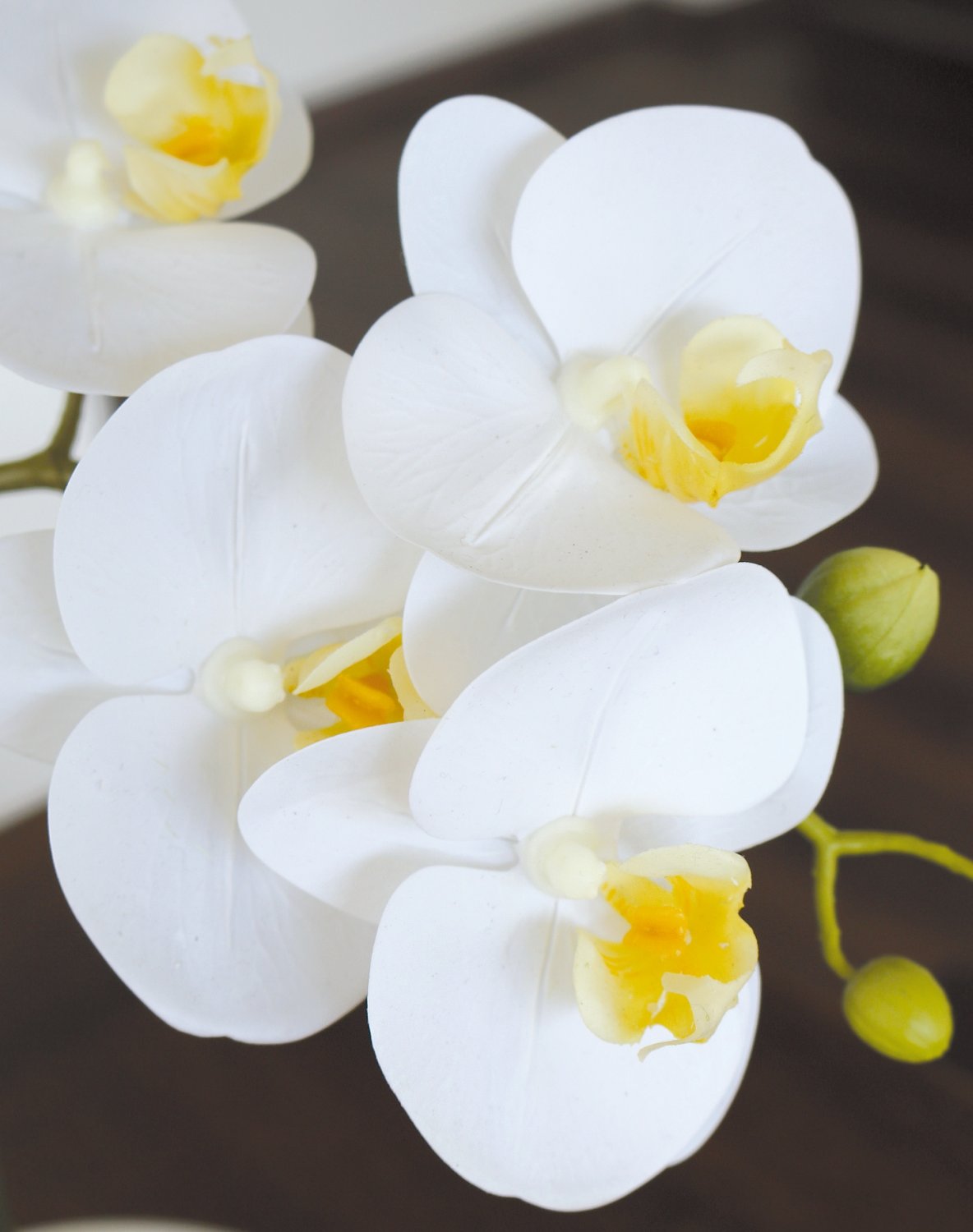 2606 778 a3 Искусственная орхидея Phalaenopsis, 55см, в горшке, real touch soft, кремово-белая H-andreas  - Вид №7