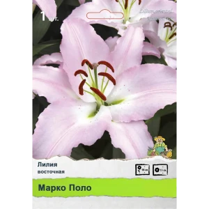 Лилия Промо