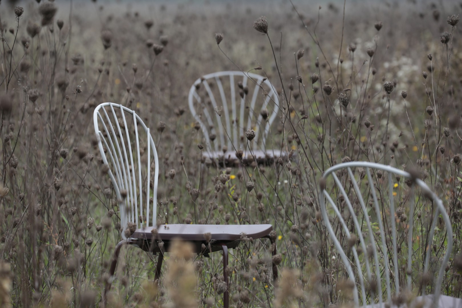 Flint 535-B Стул со стальным каркасом на 4 ножках и спинкой, сиденьем из полиамида или дерева ироко. Et al. Flint - Вид №5