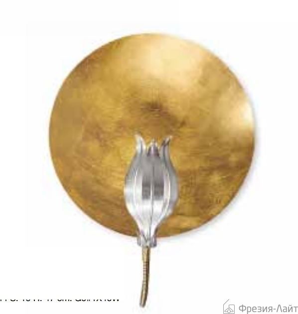 Florenz Lamp 2484.P1FO настенный светильник 59856