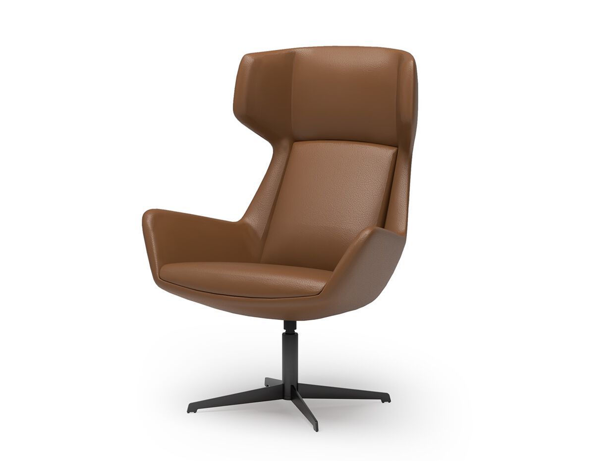 Вращающееся спицевое кресло с подлокотниками SCHNEEWEISS interior SPACE LOUNGE ARCH-00057117 - Вид №1