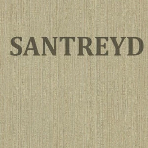 949445 Обои Rasch Maximum XIV