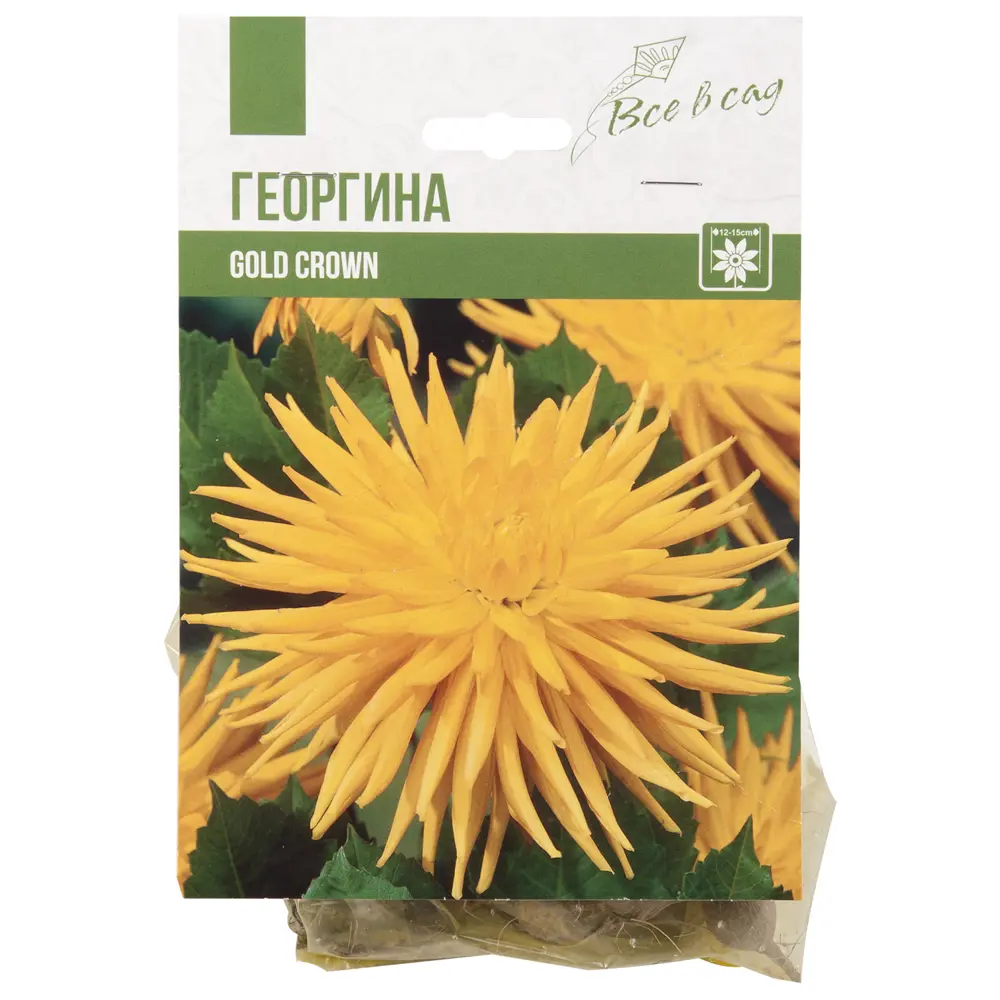 Георгина Кактусовая Голд Кроун (I) 14374564 STLM-2051037 Santreyd 