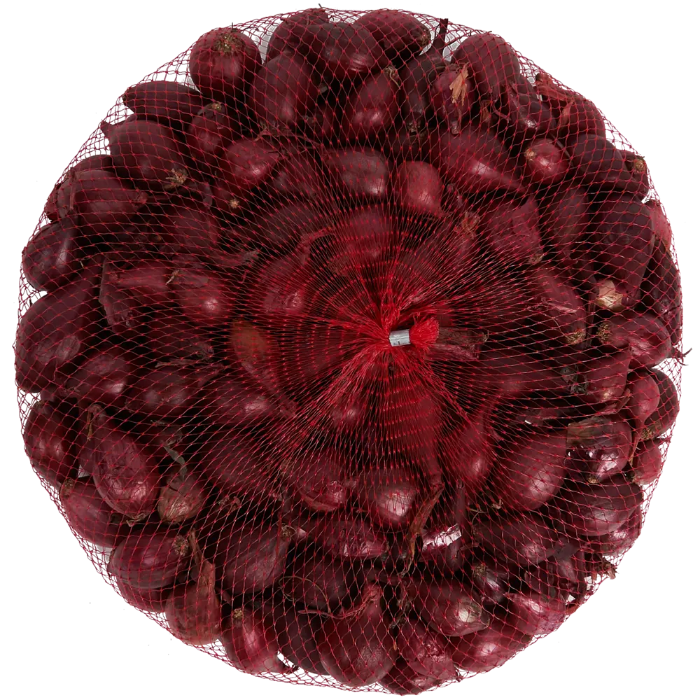 Лук-севок «Ред Барон» 10/21, 0.9 кг ПРЕСТИЖ СЕМЕНА STLM-2048255