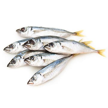 Ставрида черноморская свежемороженая ~1 кг Santreyd 29257 - Вид №1