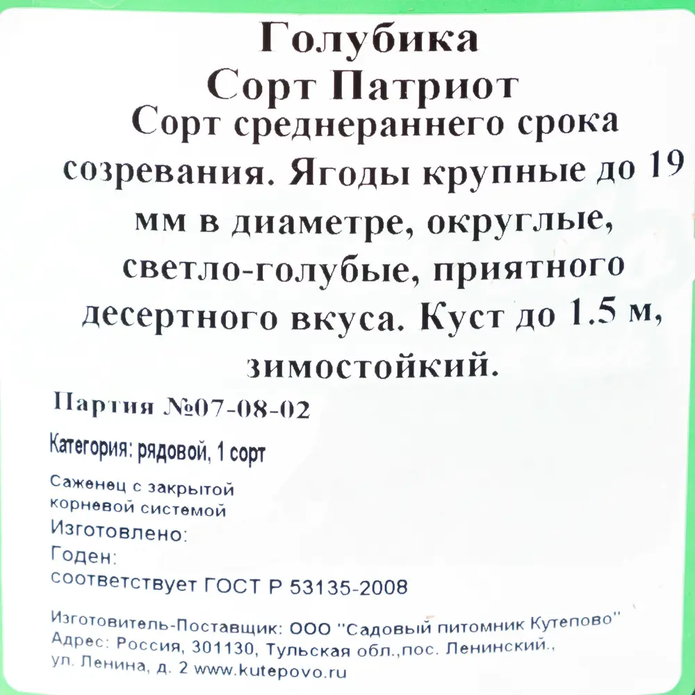 Голубика С5 «Патриот» h50 (3 года) 81954915 STLM-2197929 Santreyd  - Вид №1