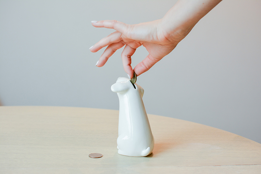 ECS-3-06 Собачка "бобик" Экочеловеки  - Вид №4