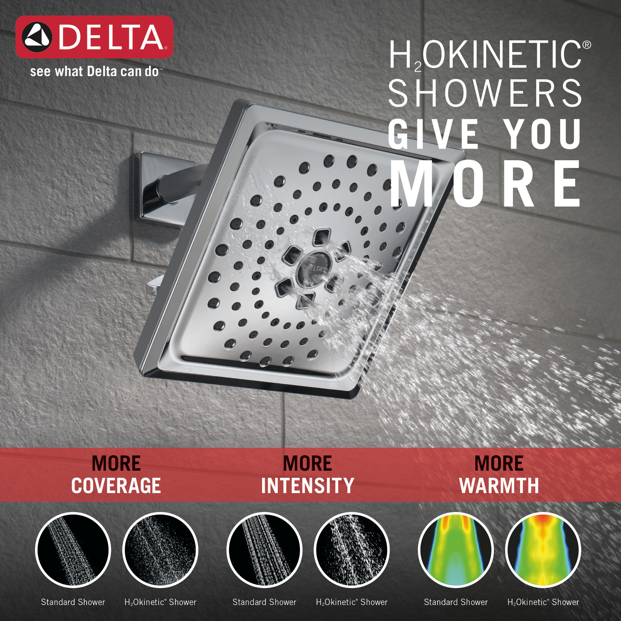 75355C H2Okinetic® 3-х позиционная душевая лейка Raincan Delta Faucet DELTA Хром - Вид №1