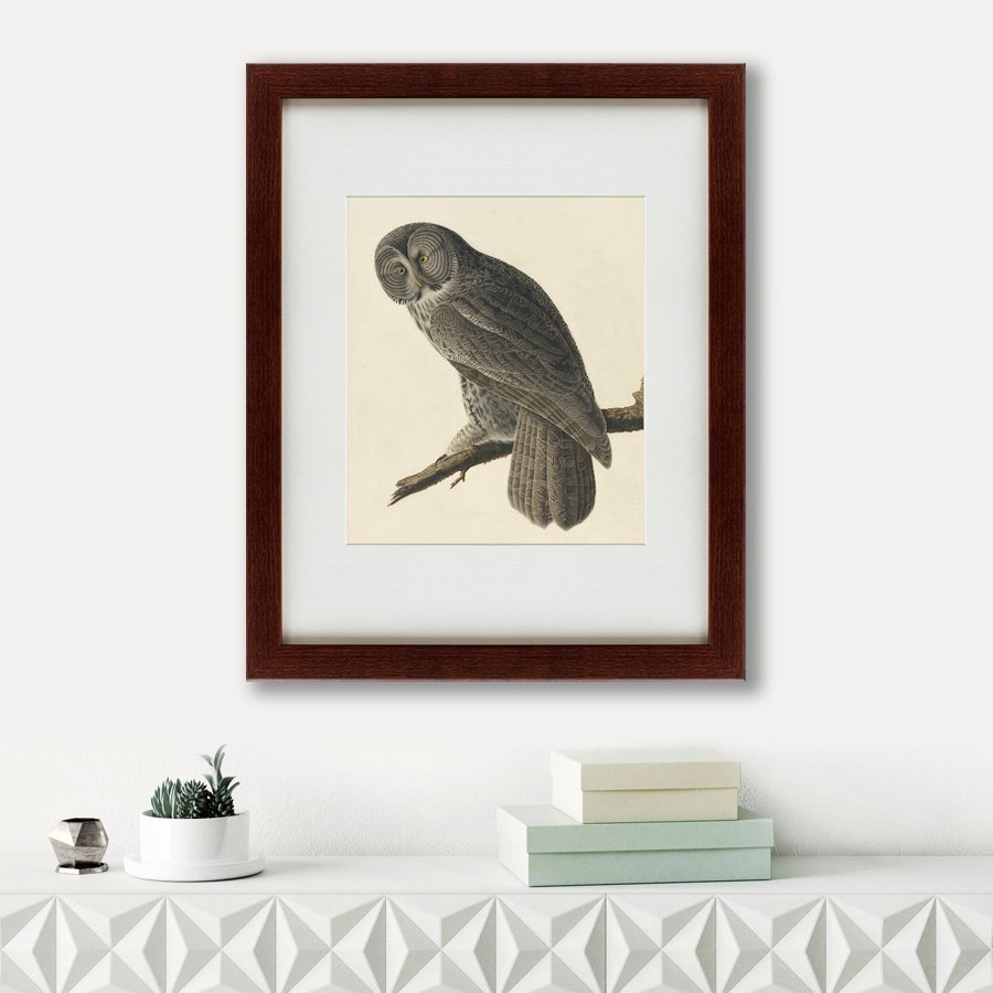 Картина: Great Gray Owl, 1834 КАРТИНЫ В КВАРТИРУ  135770 Разноцветный  - Вид №1