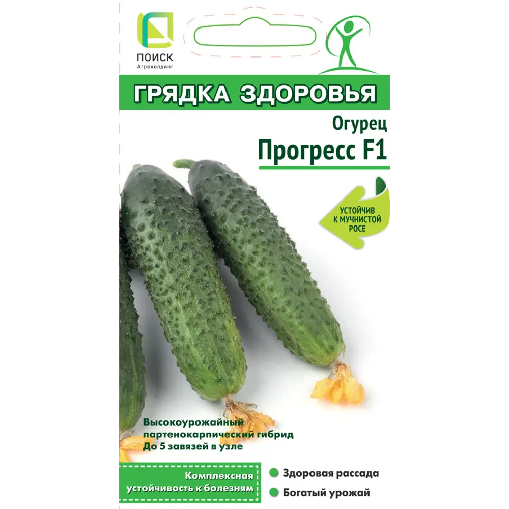 Семена огурцов ПОИСК Прогресс F1 - ранний урожайный гибрид 83577721 STLM-0042046