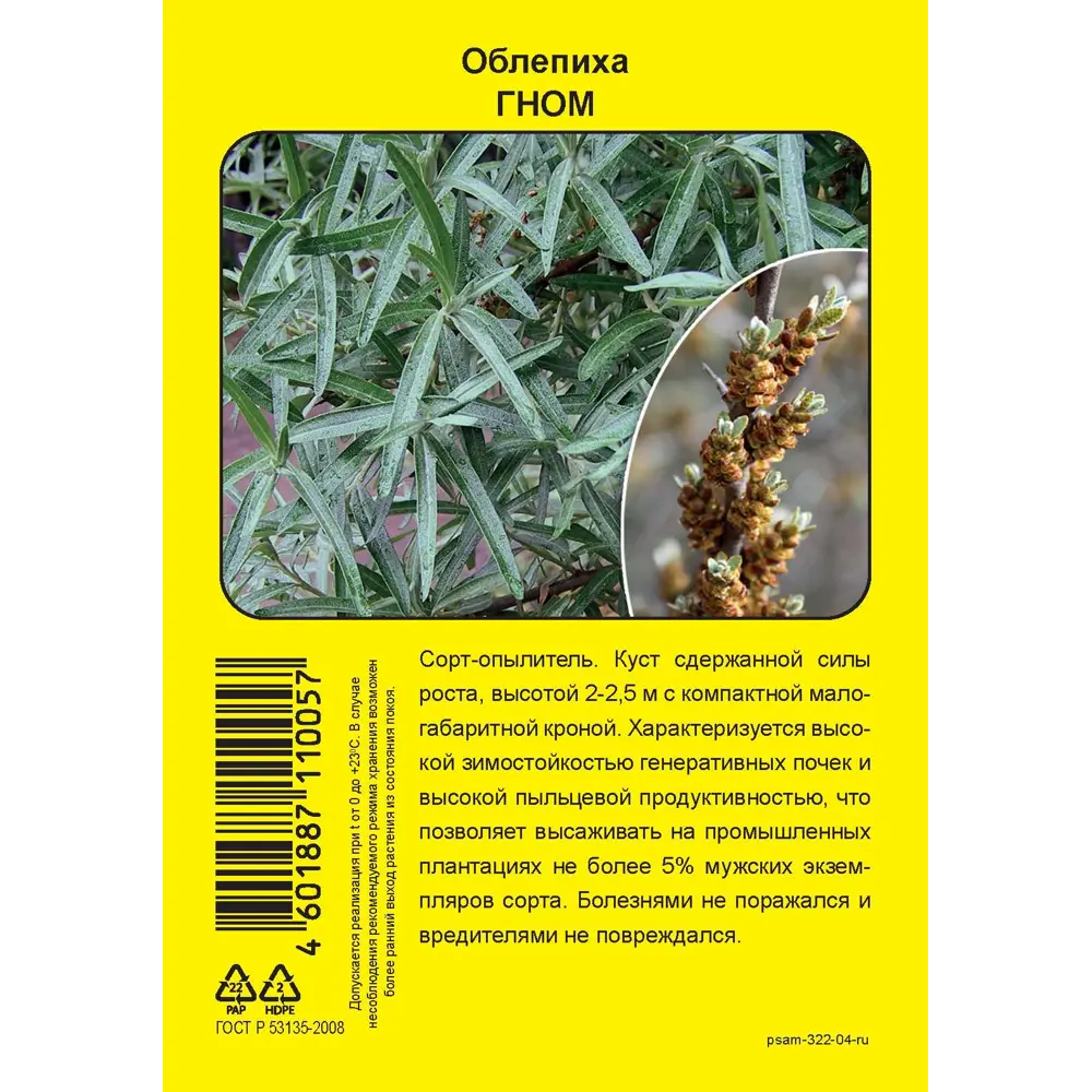 Облепиха Гном пакет h40 см 86543957 STLM-2066805 Santreyd 