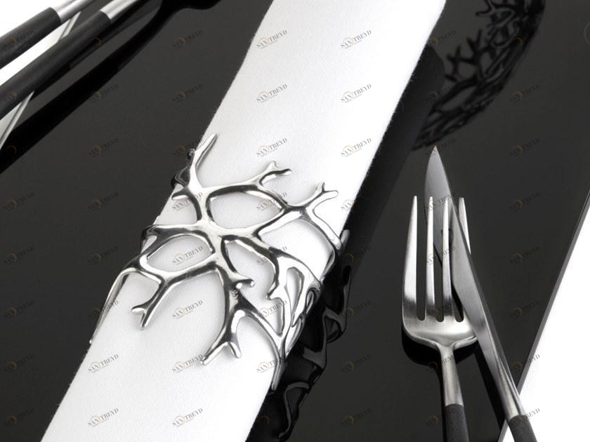 2317.pb Кольцо для cалфетки Zieher Германия Reef