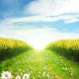 WP02122 Фотообои Verol Фотообои decoline 1х1 м