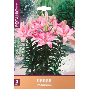 Лилия Розалин 12/14, 3 шт 82539355 STLM-2119756