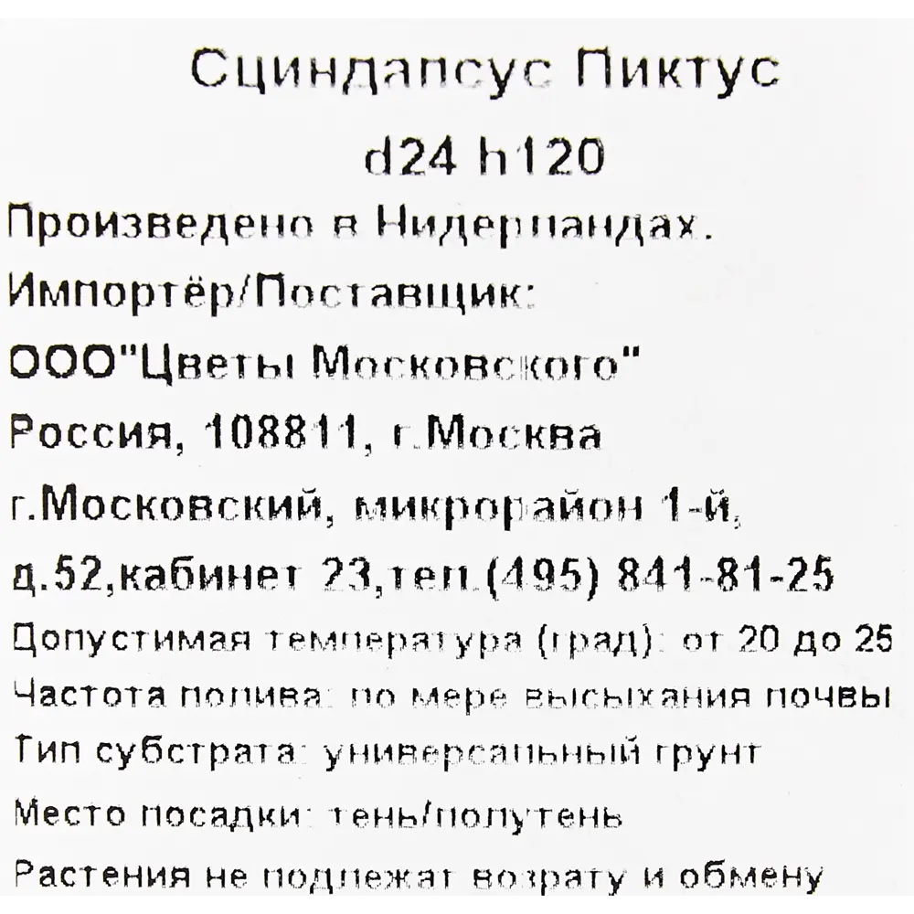 Сциндапсус Пиктус 24x120 см 82892081 STLM-2060695 Santreyd  - Вид №2