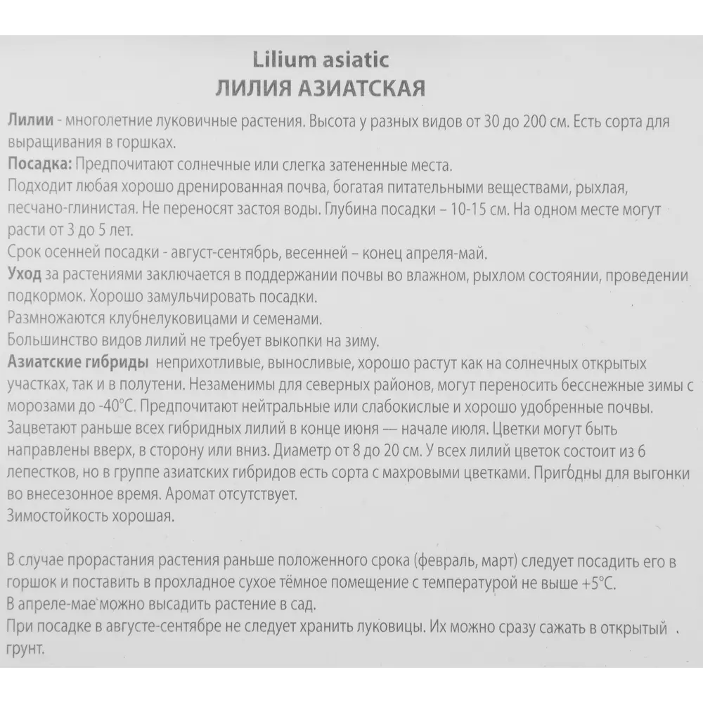 Лилия азиатская Голден Джой 85205799 STLM-2147634 ПОИСК  - Вид №2